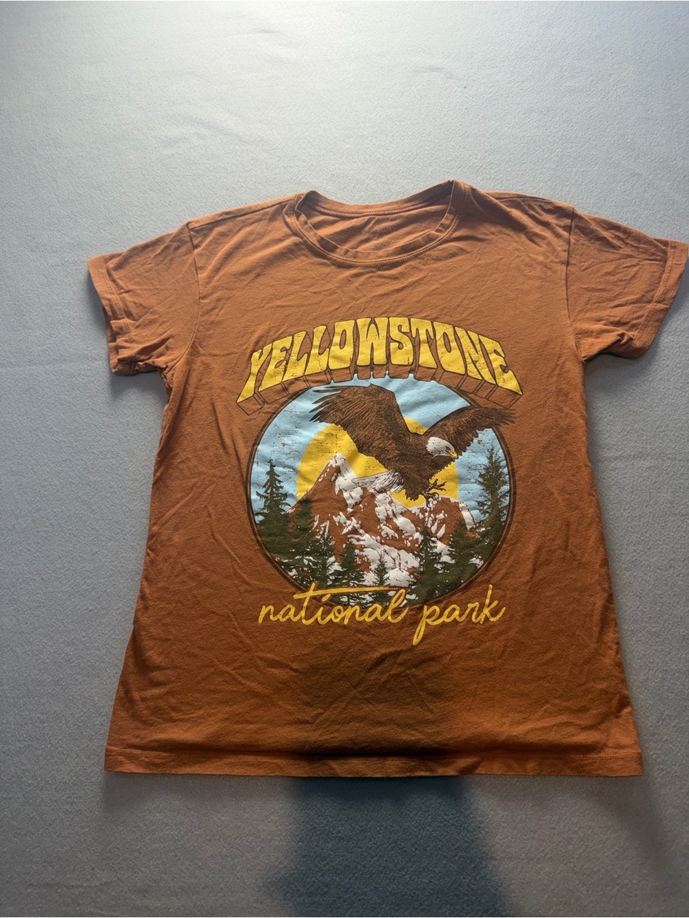 Sweet lilac yellow stone national park graphic T-shirt woman’s Xs Eagle 100%cott